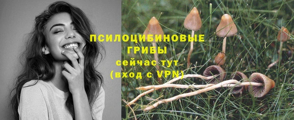 ГАЛЛЮЦИНОГЕННЫЕ ГРИБЫ Строитель