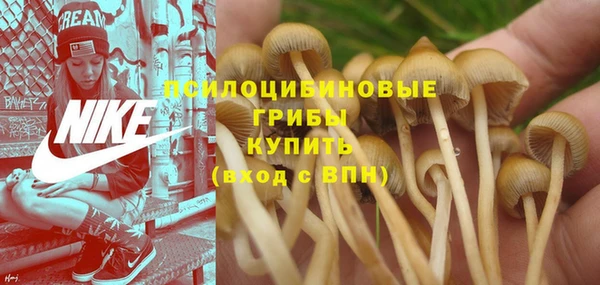 прущий лед Красноперекопск