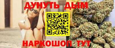 стафф Гатчина