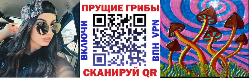 Галлюциногенные грибы прущие грибы  Надым 